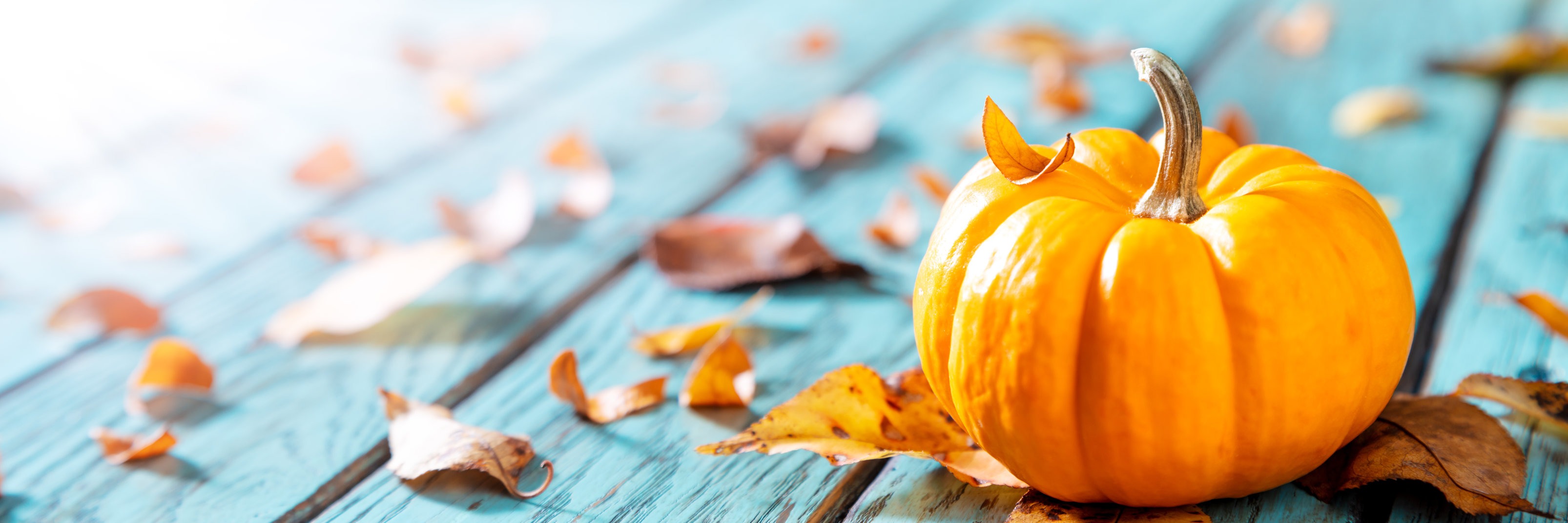 Dynamics 365 features